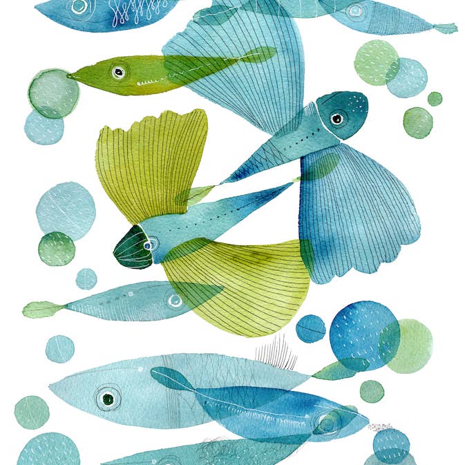 The Napking - Vente Torchons - Torchons de cuisine «Pesci Volanti», 100 % fabriqués en Italie1