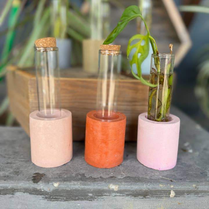 Good Girl Market - Wholesale Vase - Concrete Propagation Station4