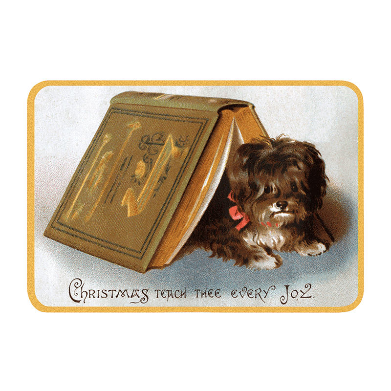 Laughing Elephant - Wholesale Postcard - We Wish You a Crazy Christmas Postcard Book -  Postcards15