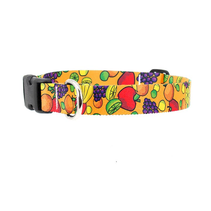 Fruit Frenzy Dog Collar - Made in USA for wholesale by Buttonsmith