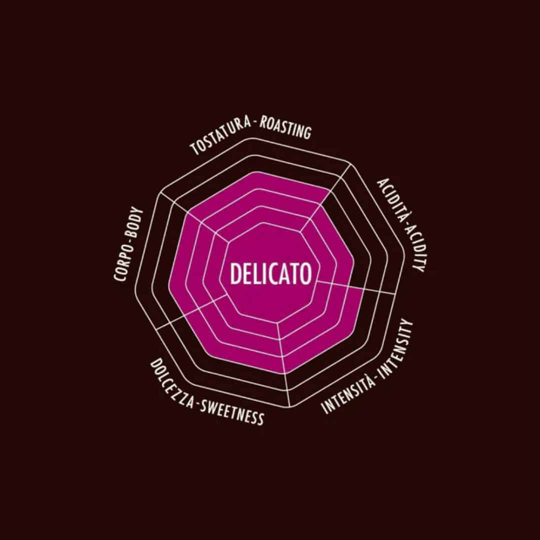 And Co. Brands - Wholesale Coffee Beans - Bialetti Whole Bean Coffee12