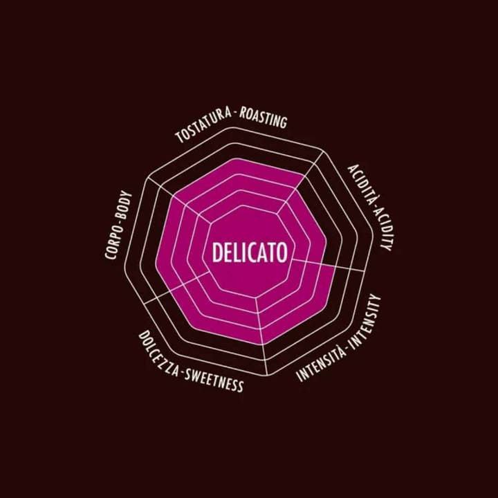 And Co. Brands – wholesale Coffee beans – Bialetti Whole Bean Coffee12