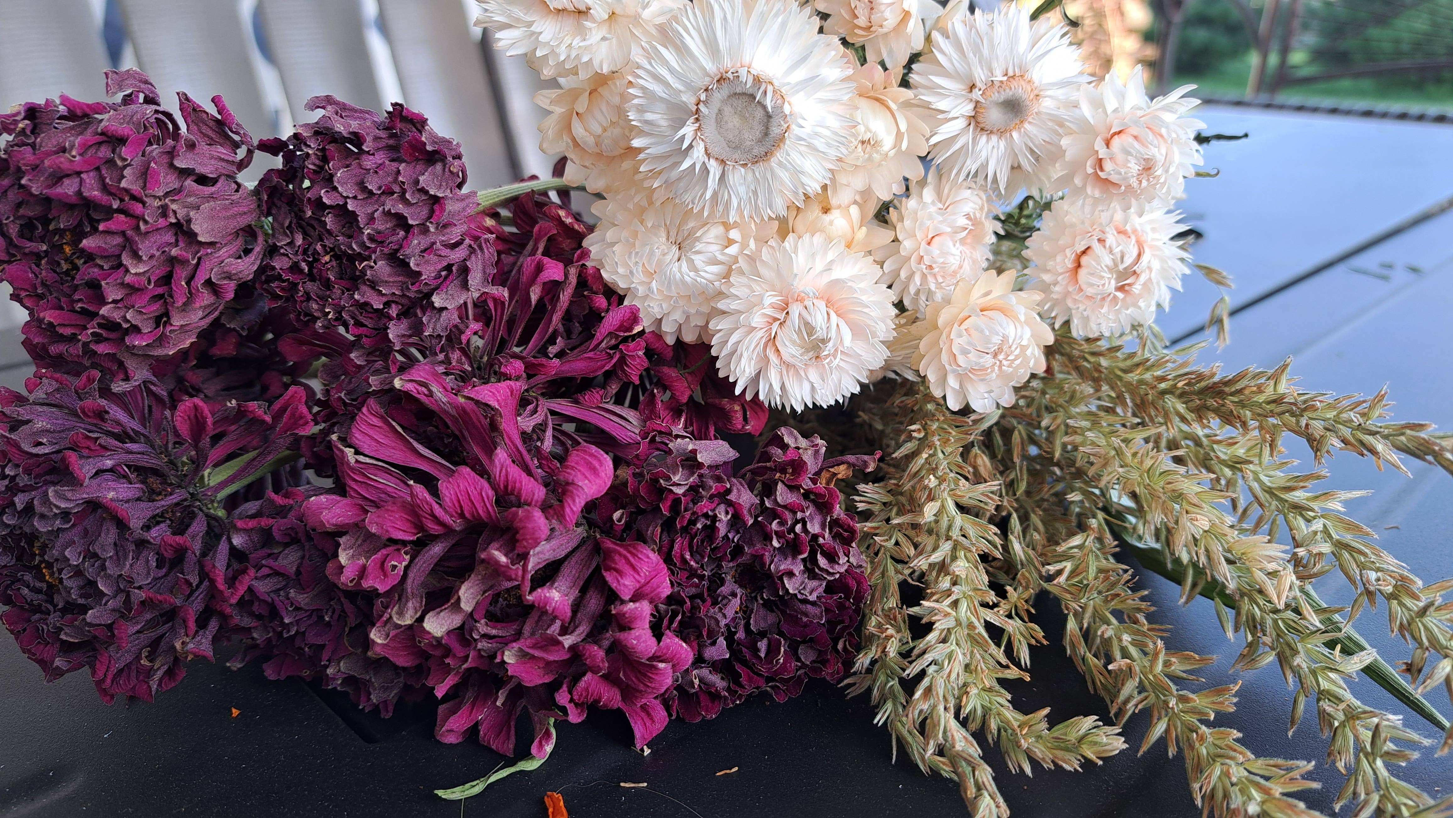 Fence Post Florals - Wholesale Gedroogde/geperste bloemen - Zinnia's4