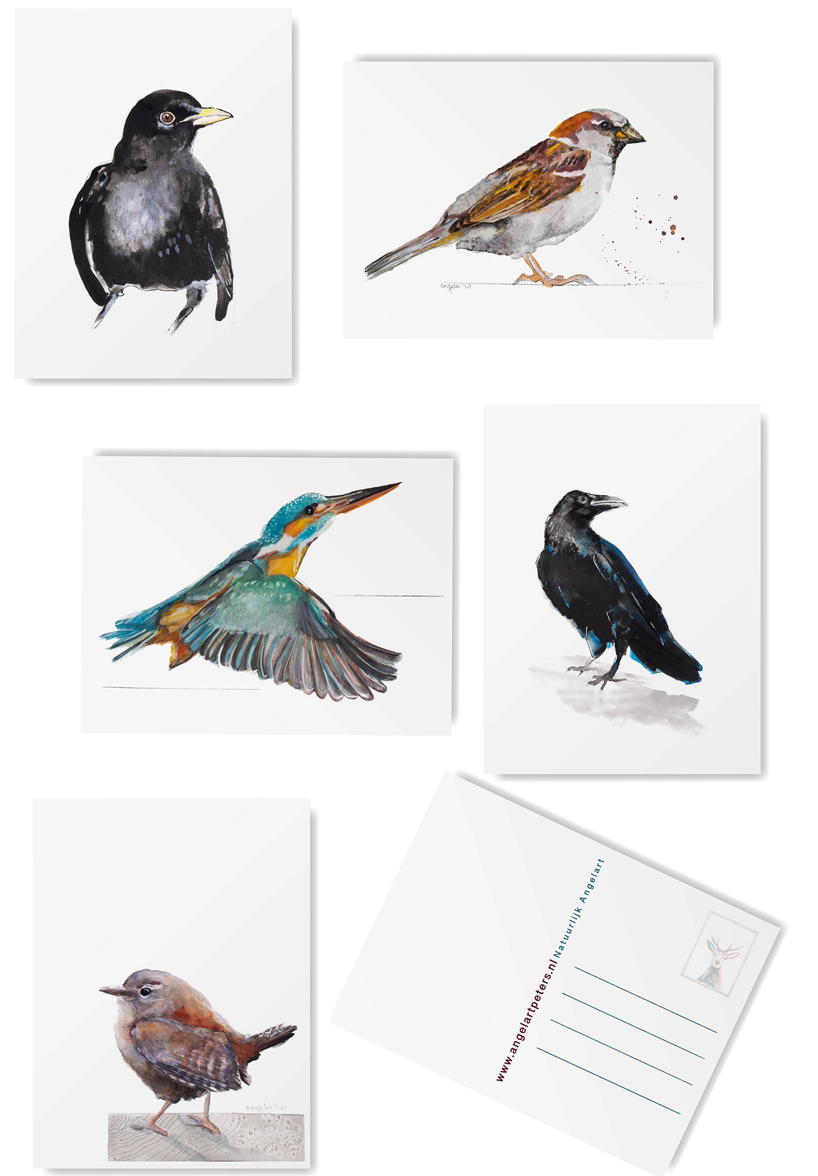 Studio Angelart - Wholesale Stationery/Notecard Set - Native Bird greeting cards set - 15 pieces2