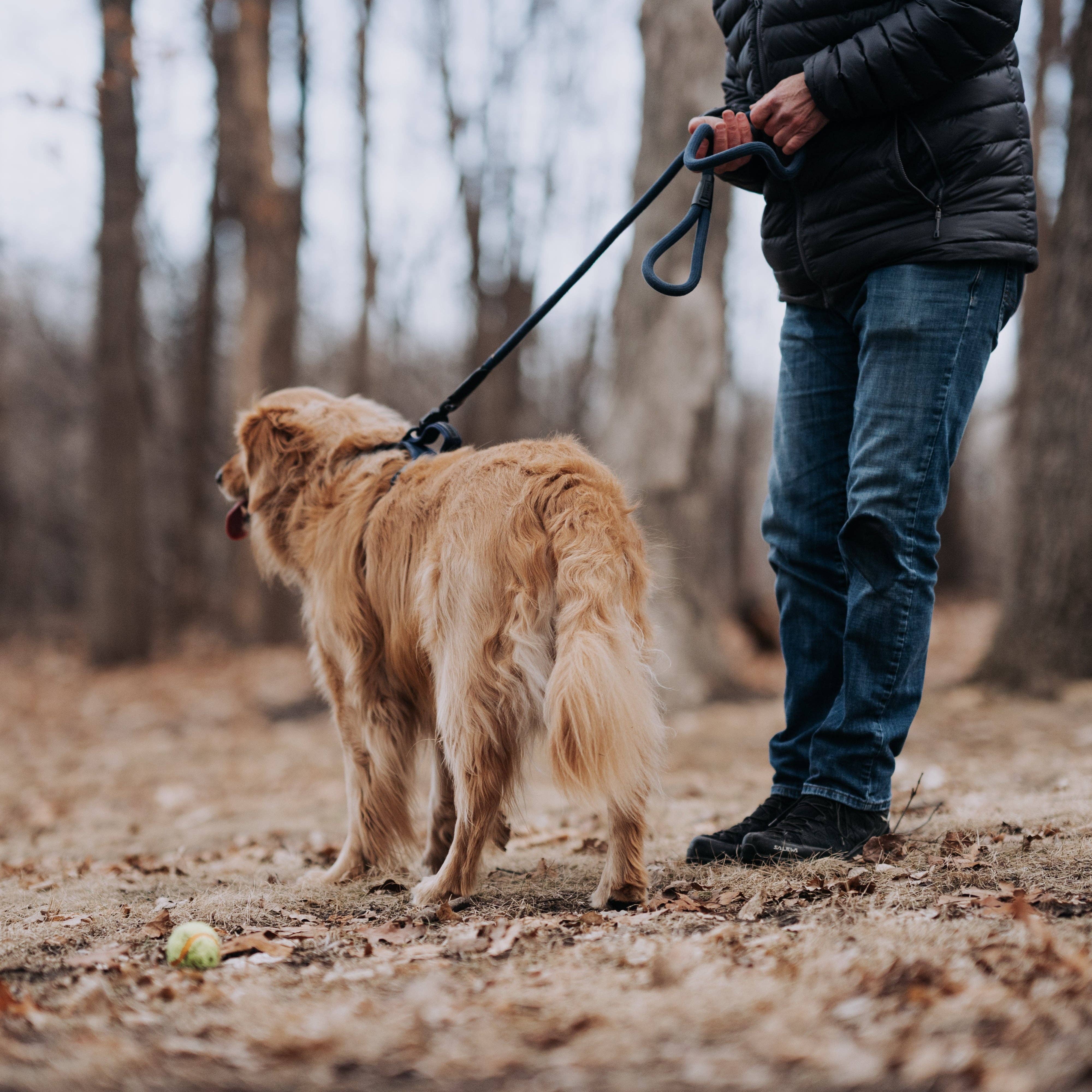 HOOZA - Wholesale Pet Leash - Dog - MAGNETIC QUICK CLIP ROPE LEASH5