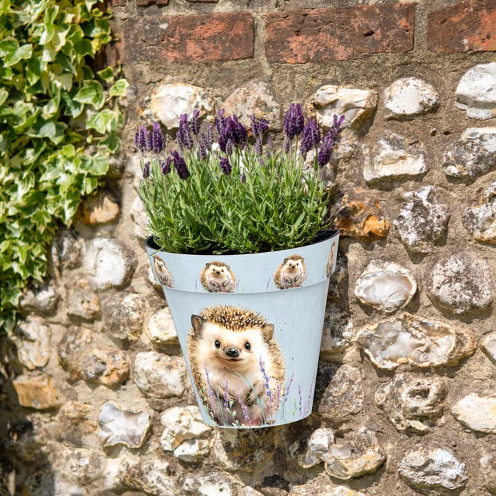 Zest Wall Pot - Hedgehog for wholesale by CREEKWOOD GARDEN AND GIFT LTD