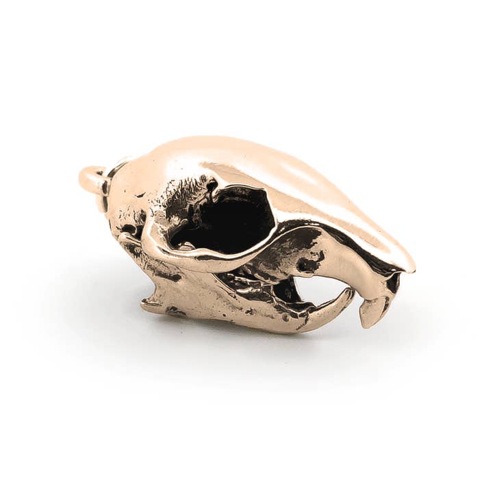 Gray Squirrel for wholesale by Fire & Bone