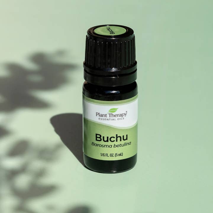 Plant Therapy - Wholesale Essential Oil - Buchu Essential Oil Blend 5 mL2