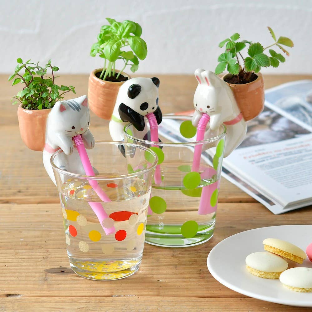 Noted - Wholesale Plant Pot - Chuppon - Assorted 3 Styles1