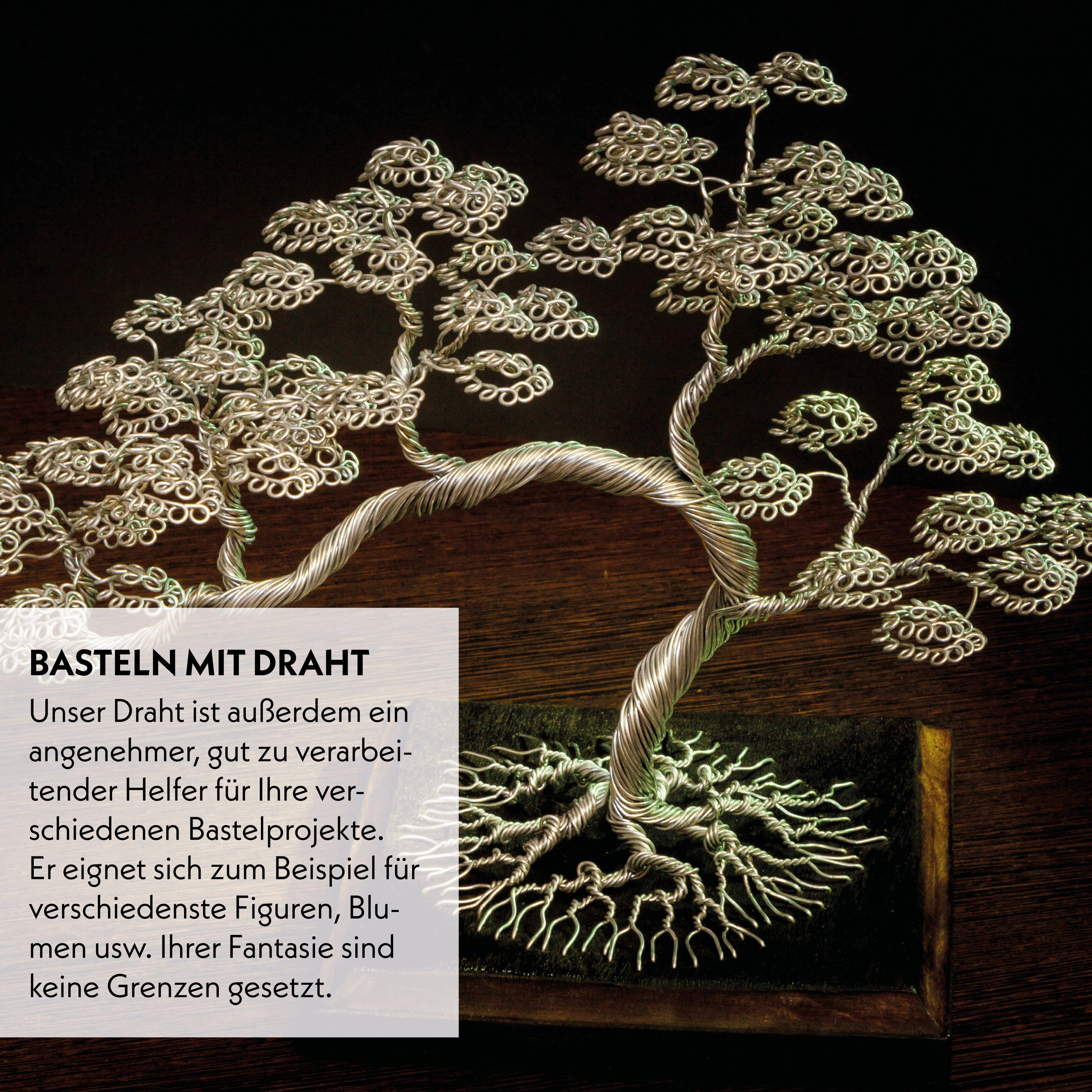 Vendix GmbH - Wholesale Garden Tool - HappySeed 10m Anodized Aluminum Bonsai Wire, Black5