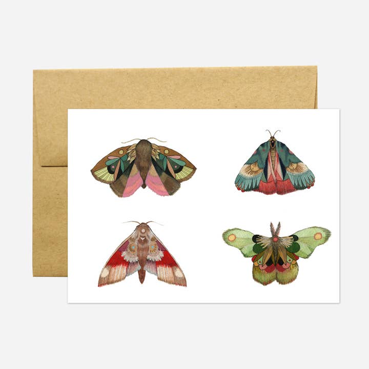 Card - Moths Part II - Collector for wholesale by Polanshek of the Hills