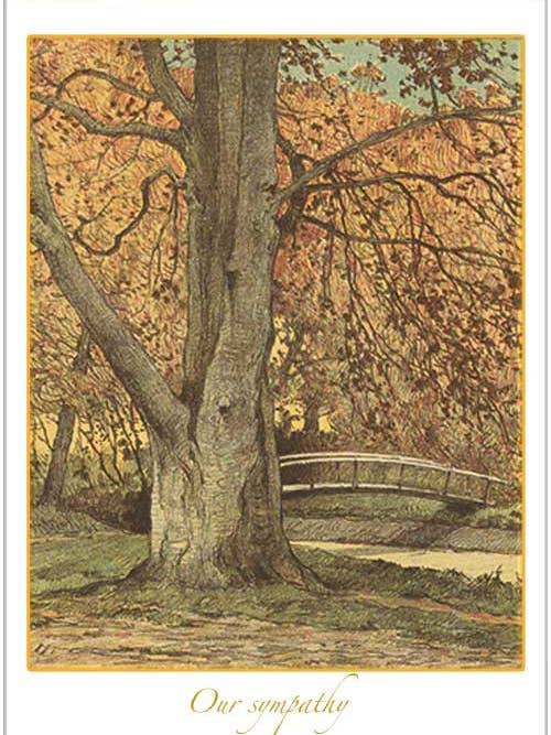 Un albero vicino al torrente in autunno per la vendita all'ingrosso da parte di Finalina