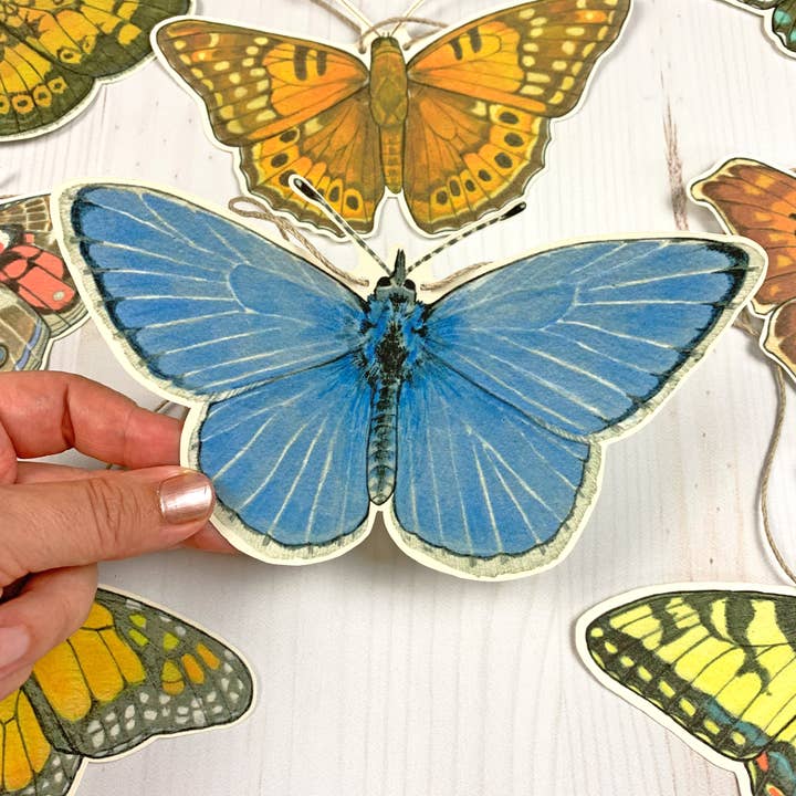Sarah Draws Things - Wholesale Bunting/Garland - Eastern U.S. Native Butterfly Illustrated Garland