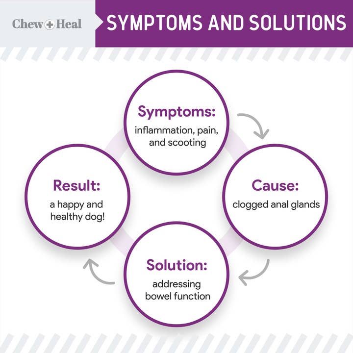 Chew + Heal - Wholesale Pet Supplement - Dog - Chew + Heal Stop the Scoot Anal Gland & Bowel Support2