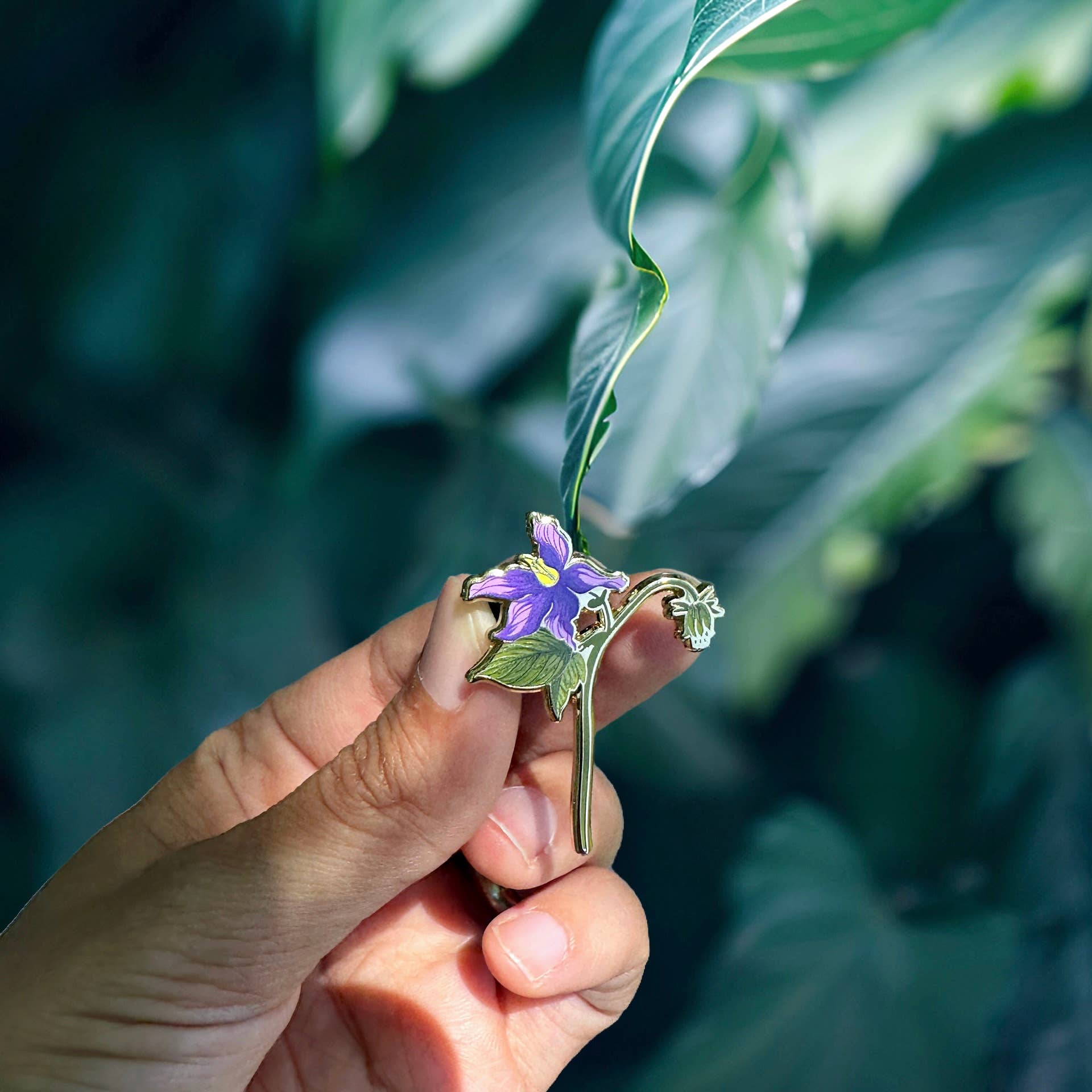Plant Scouts – wholesale Nål och knapp för kavajslag – Nightshade Flower Emaljnål Dödlig giftblomma0