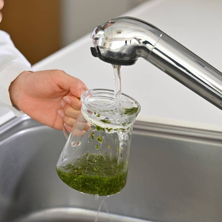 HARIO USA - Wholesale Tea Pot - "Clear" Tea Pot2