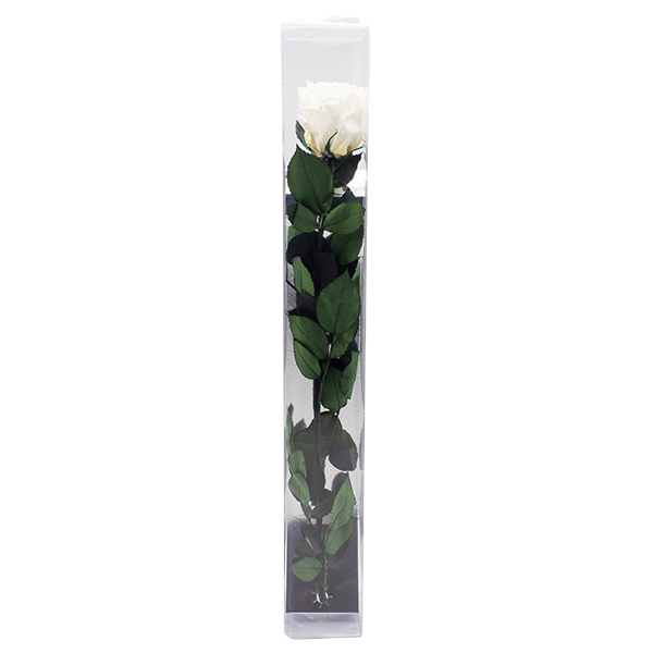 Concari.flores Preservadas - Wholesale Artificial Flowers - ROSE WITH PRESERVED STEM9
