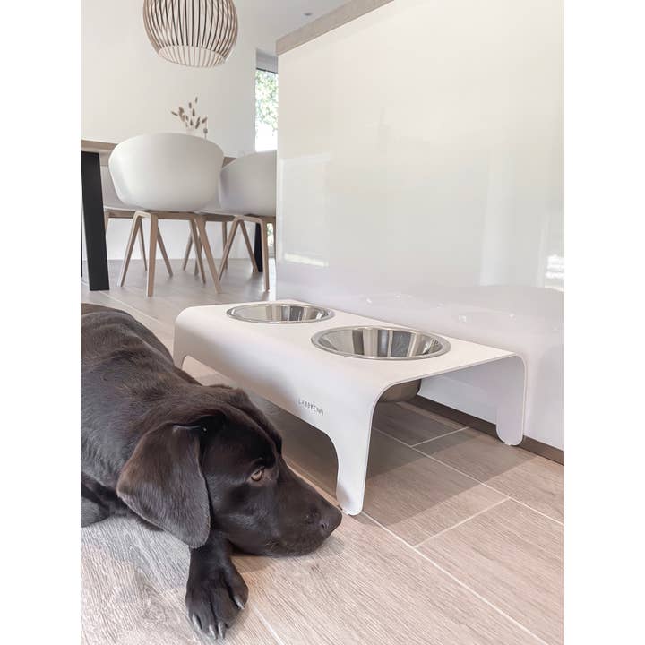 Labbvenn - Wholesale Pet Bowl - Cat/Dog - Rico Ffeder31