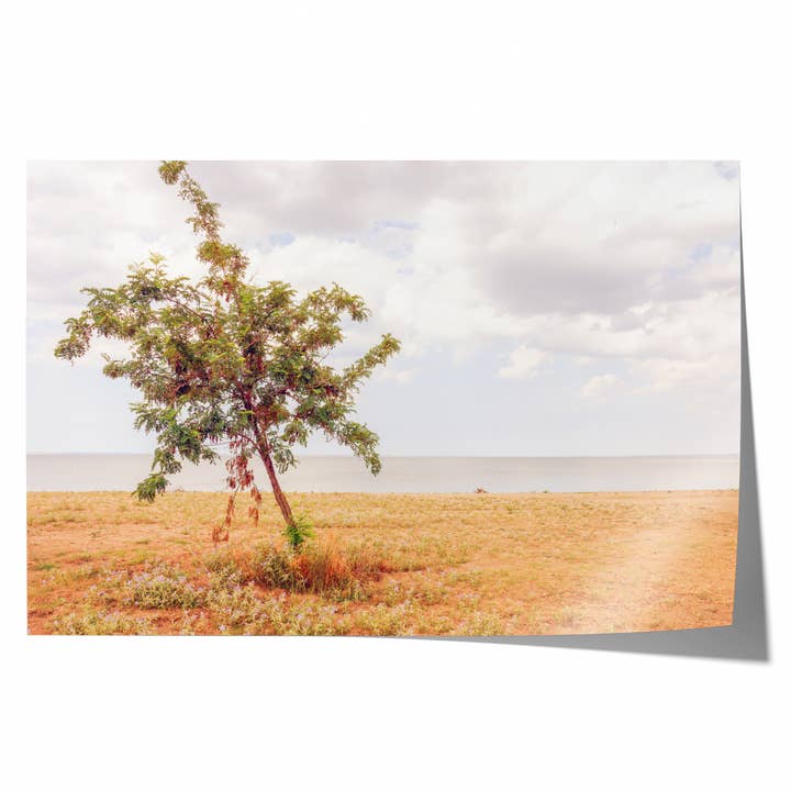 Einsamer Küstenbaum | Tirage d'art fine art pour la vente par Natasha Riha Photography