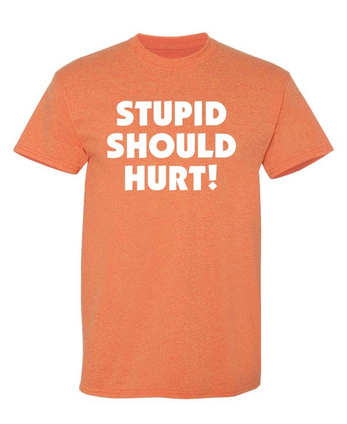 Feelin Good Tees - Wholesale Screen Printed T-Shirt - Unisex - Stupid Should Hurt11