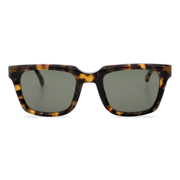 Sunglasses Nelson Brown for wholesale by Bayron Bay Sunglasses