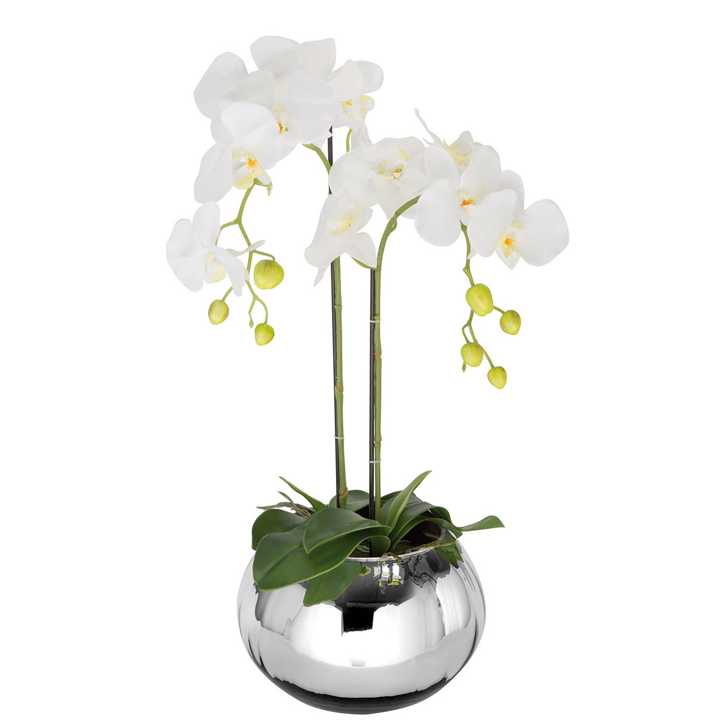 Potted plant orchid green; white H. 70 cm, pack of 2 for wholesale on Faire0