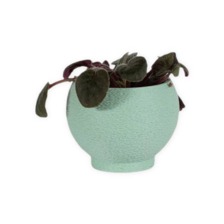 Leafprints.3d - Wholesale Plant Pot - The Petal – 2 Inch Cover Pot (No Drainage)19
