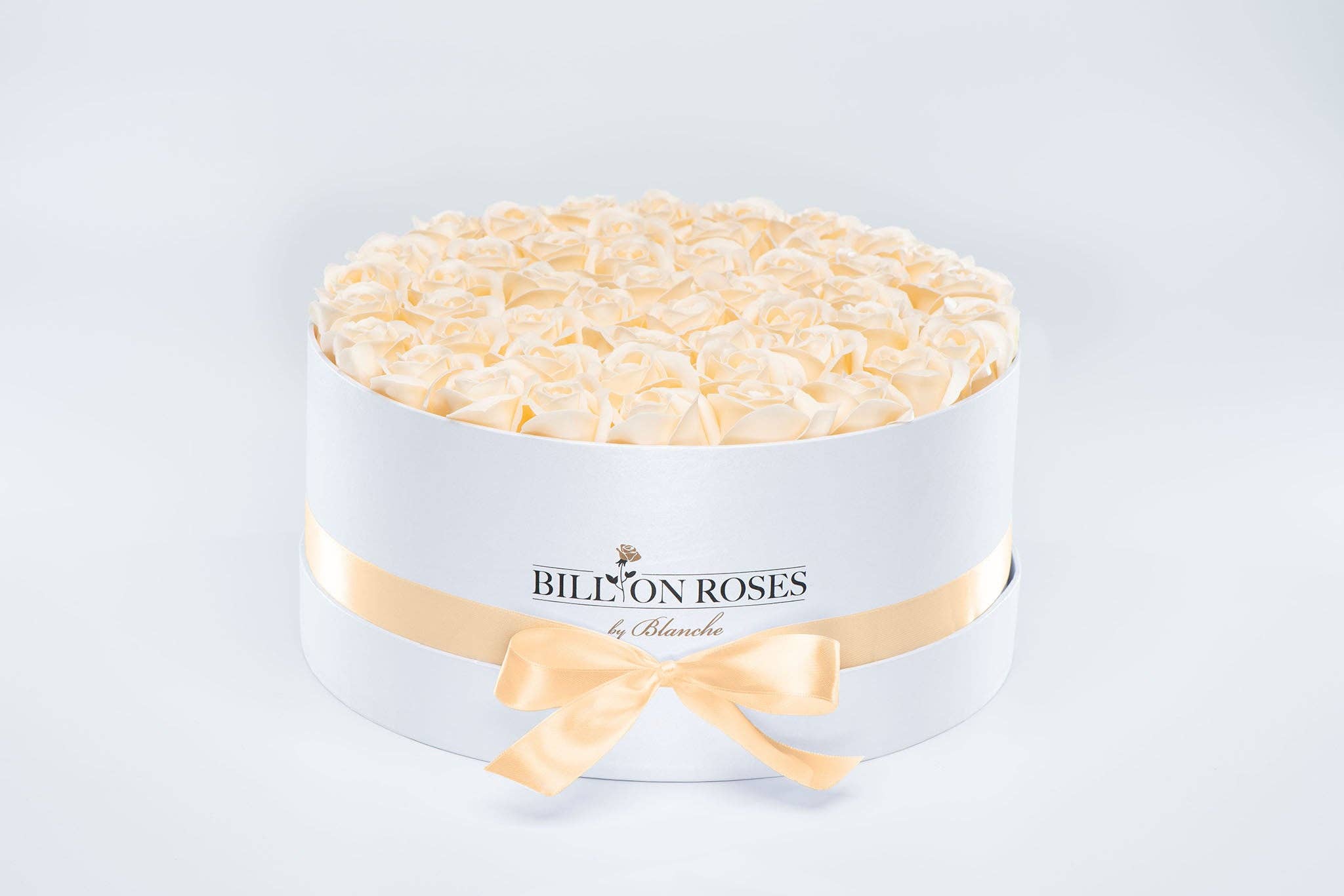 Billion Roses by Blanche - Wholesale Artificial Flowers - Große und Weiße Box mit Ewigen Rosen26