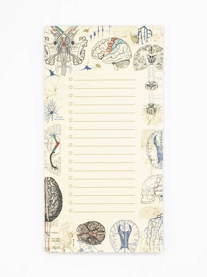 Bloc de Notas de Ciencia del Cerebro (Caja de 6) para venta al por mayor de Cognitive Surplus