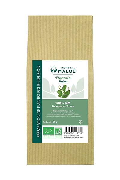 Institut Maloé - Vendita all'ingrosso Vitamine/integratori orali - Pianta biologica di piantaggine tonda - 50 g0