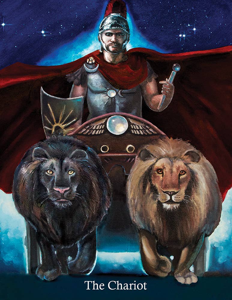 Cardshouse - Vendita all'ingrosso Tarocchi - Sistemi di giochi Ancestral Path Tarot Us1