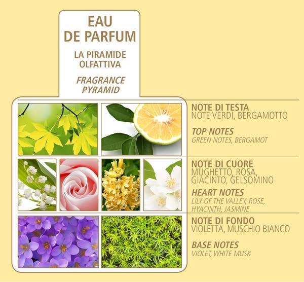 Acqua Di Bolgheri – wholesale Parfymer/Eau de Toilette – Acqua Di Bolgheri Oro Eau de Parfum3