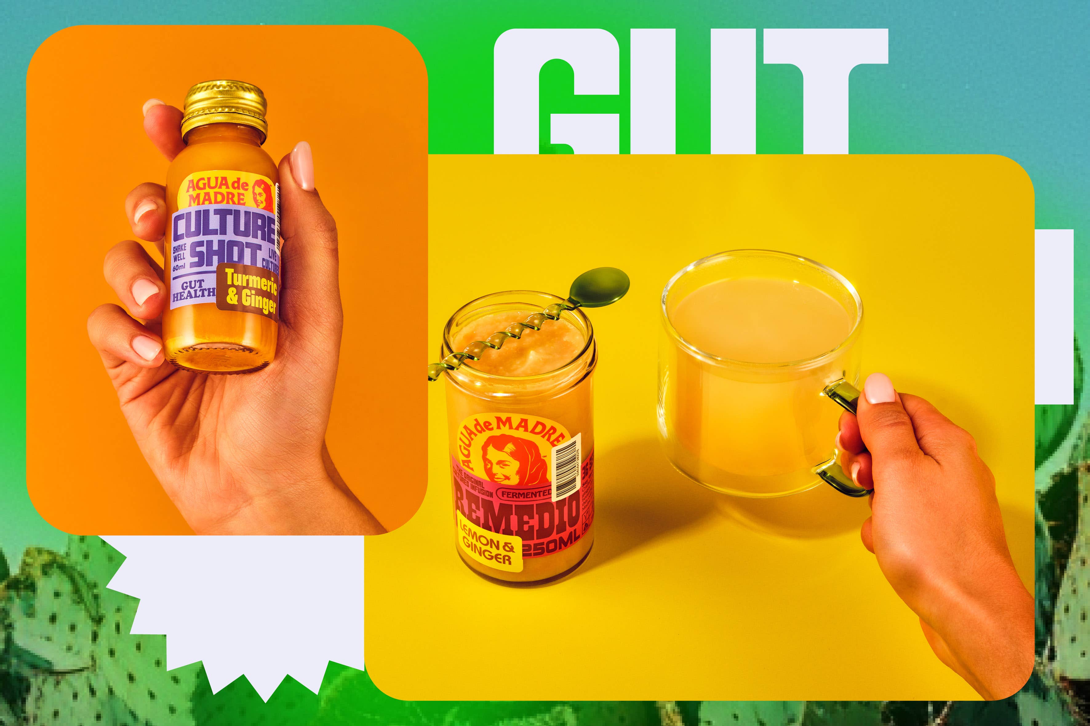 Agua De Madre – wholesale Wellness juice/tonic – Agua de Madre Live Culture Shots 60ml5