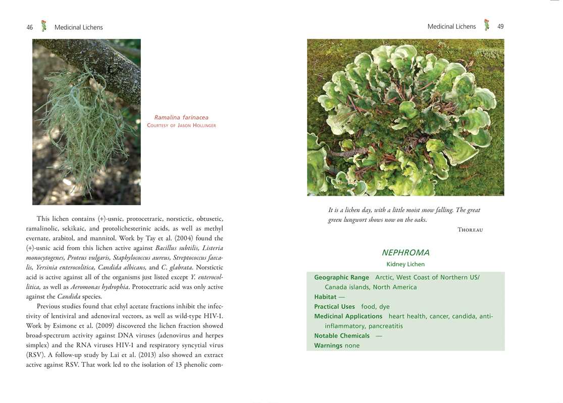 Simon & Schuster - Wholesale Medical Health - Medicinal Lichens by Robert Dale Rogers7