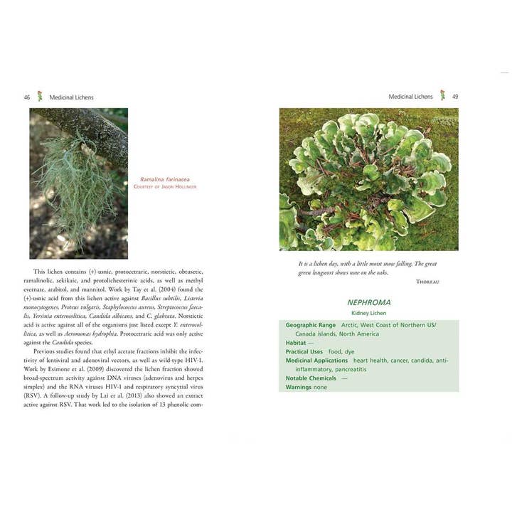 Simon & Schuster - Wholesale Medical Health - Medicinal Lichens by Robert Dale Rogers7
