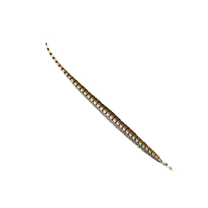 Zucker Feather Products - Wholesale Feathers - Lady Amherst Pheasant Tails 35" and Up- Natural