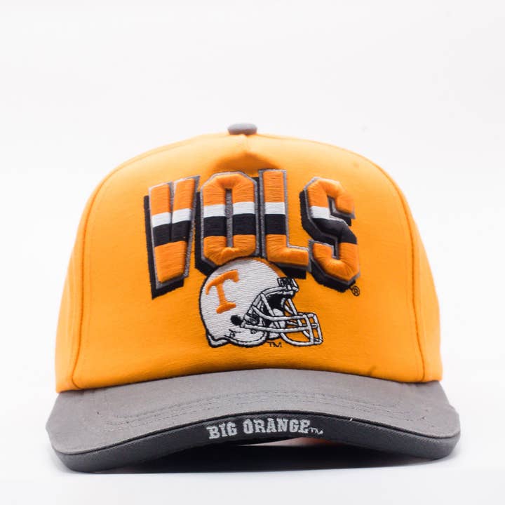 Tennessee Volunteers Electric $Bill Hat for wholesale by Dyme Lyfe