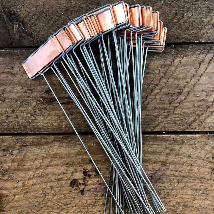 Copper Plant Tags - Garden Markers Set for wholesale by Celtic Farm LLC