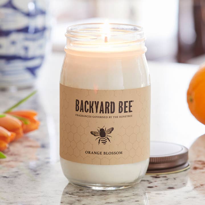 Orange Blossom - Sun-Kissed Citrus Jar/Filled Candle for wholesale by Backyard Bee
