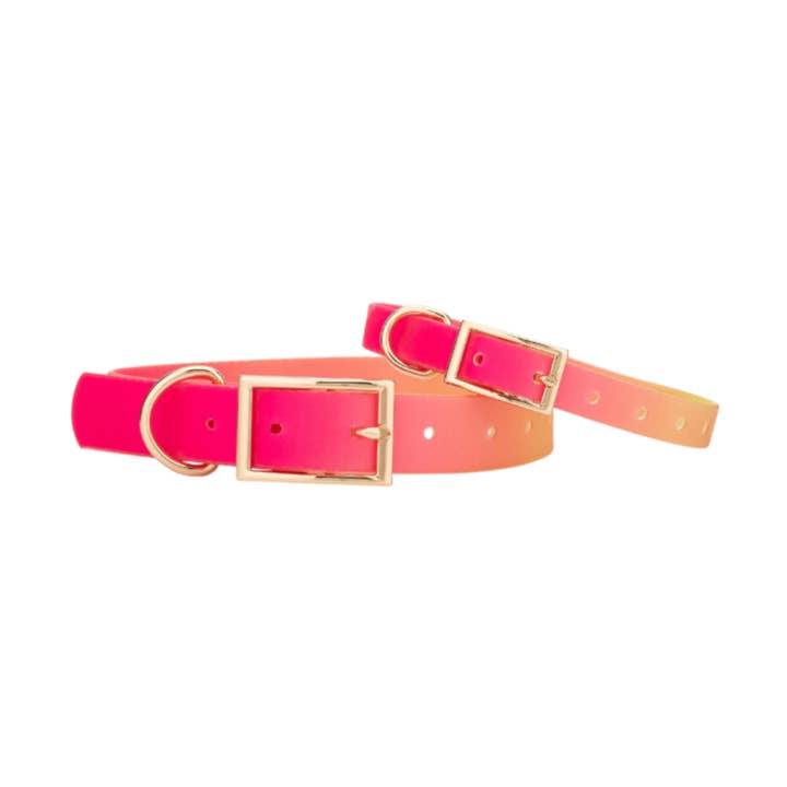 Pink Papyrus | Premium, Durable, & Stylish Dog Products - Wholesale Halsband - Hond - Katelin All Weather Waterdichte Gemakkelijk Schoon te Maken Hondenhalsband0