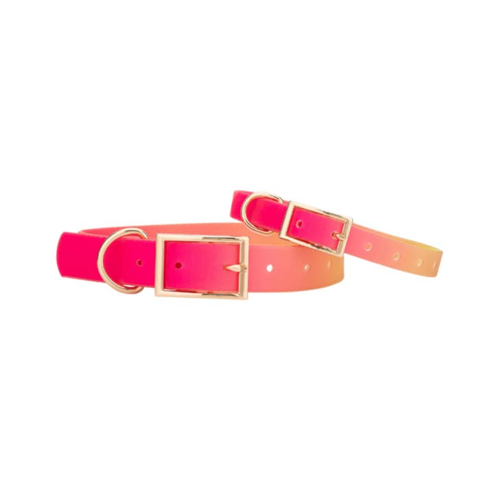 Pink Papyrus | Premium, Durable, & Stylish Dog Products – Großhandel Haustierhalsband – Hund – Katelin Allwetter-Wasserdichter Leicht zu reinigender Hundehalsband0