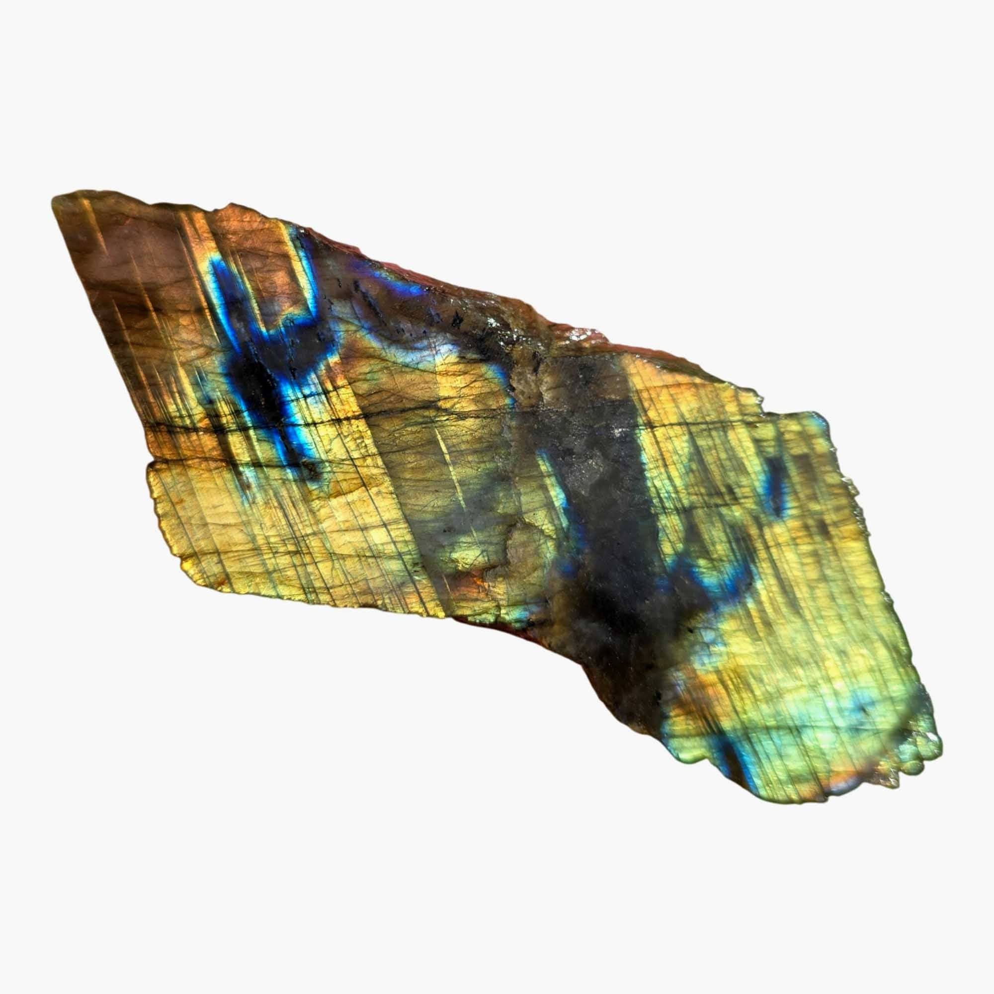 Lapidary Central - Wholesale Spiritual Stone/Crystal - Labradorite Slab - Green Blue Flash - Color Play Display4