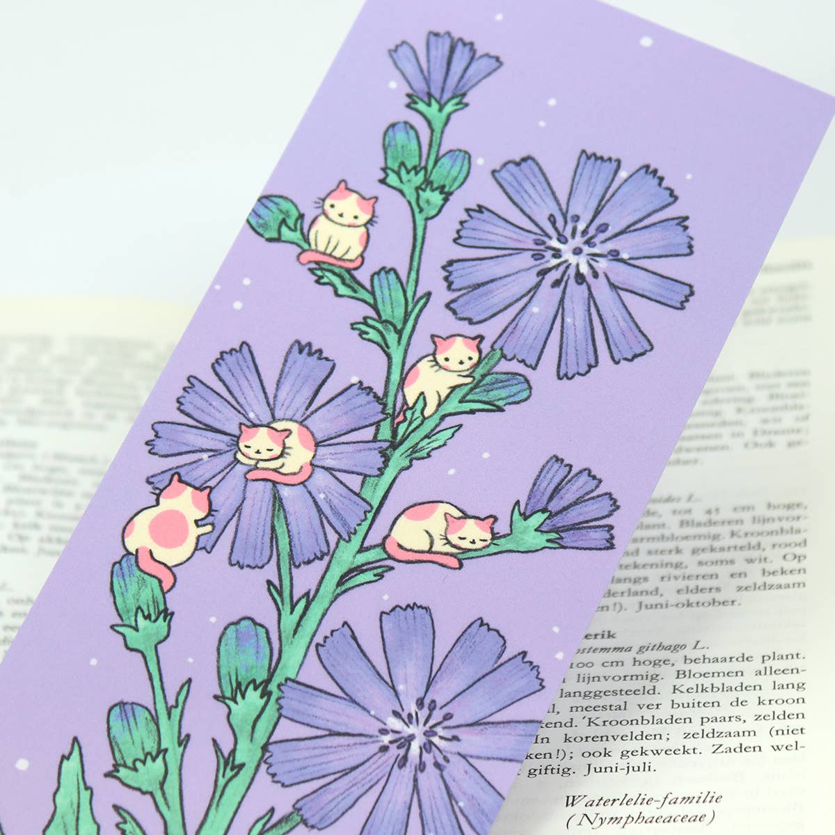 PONY PEOPLE - Wholesale Bookmark - Chicory Cats XL Bookmark5