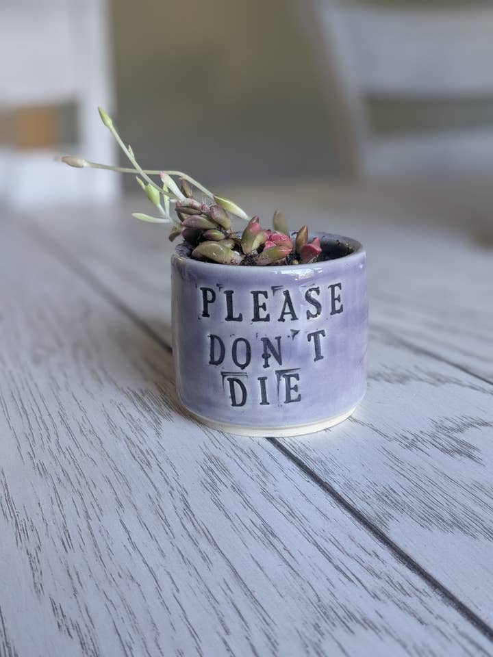 "Please Don’t Die" Purple Succulent Planter – Funny Ceramics for wholesale by Rise and Design Art Studio