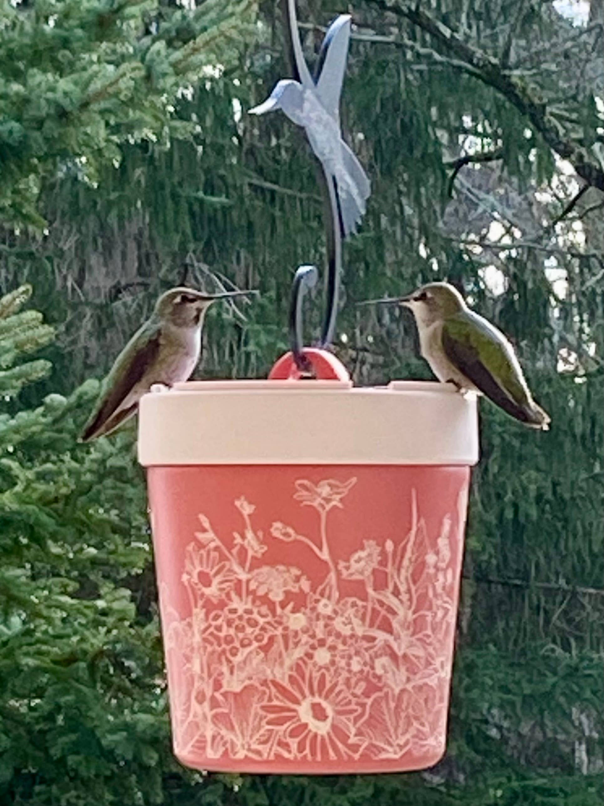 Anna's Healthy Hummingbird - Wholesale Bird Feeder - Insulated hummingbird feeder
1