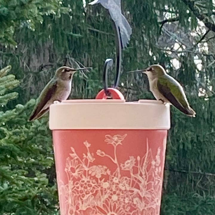 Anna's Healthy Hummingbird - Wholesale Bird Feeder - Insulated hummingbird feeder
1