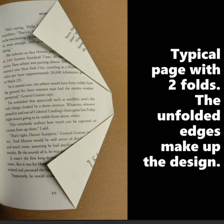 Sculpted Books - Vente Sculpture - Sculpture de patte (terminée)2