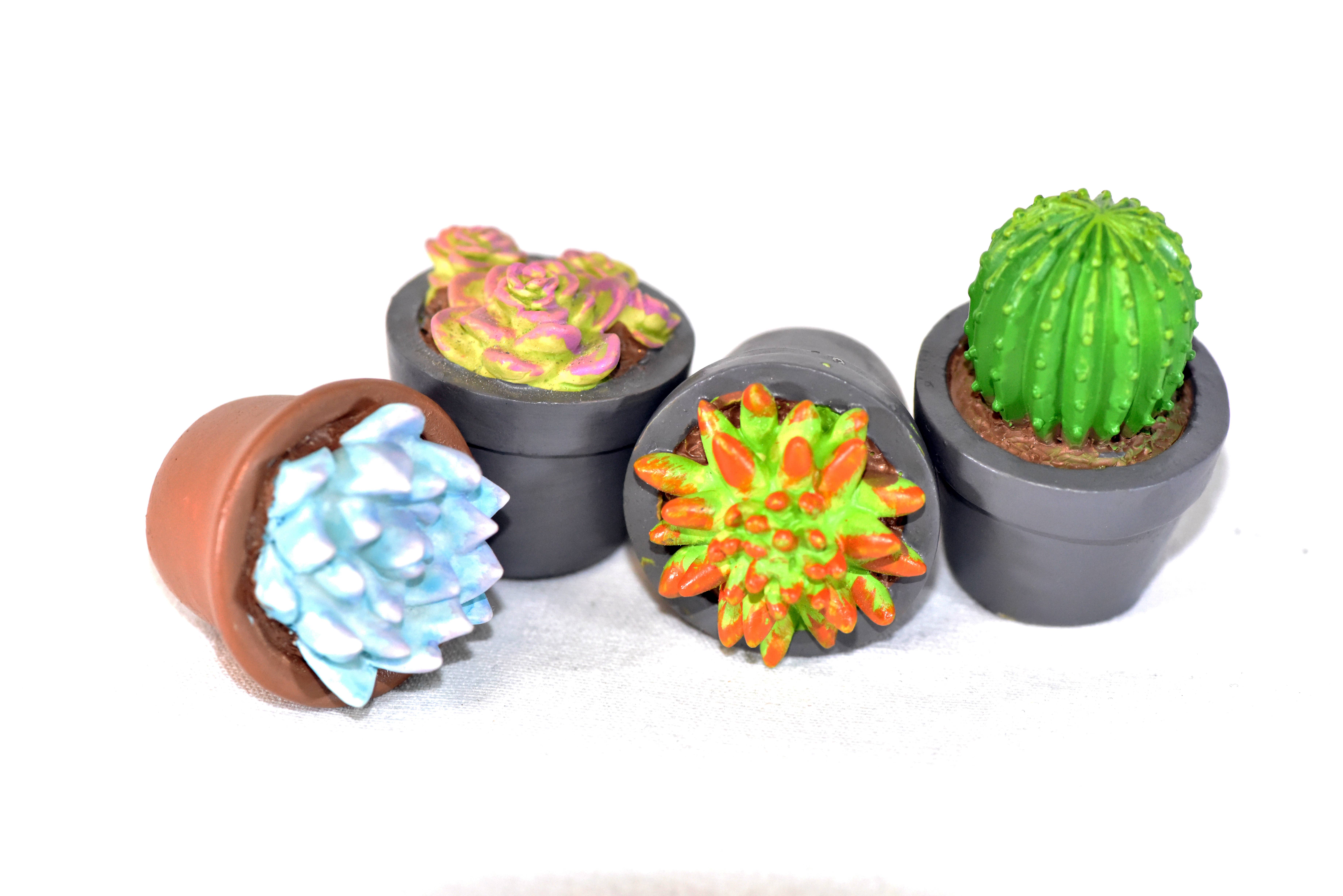 G & F Products - Wholesale Succulent - Garden Miniature Succulent, 4 pc8