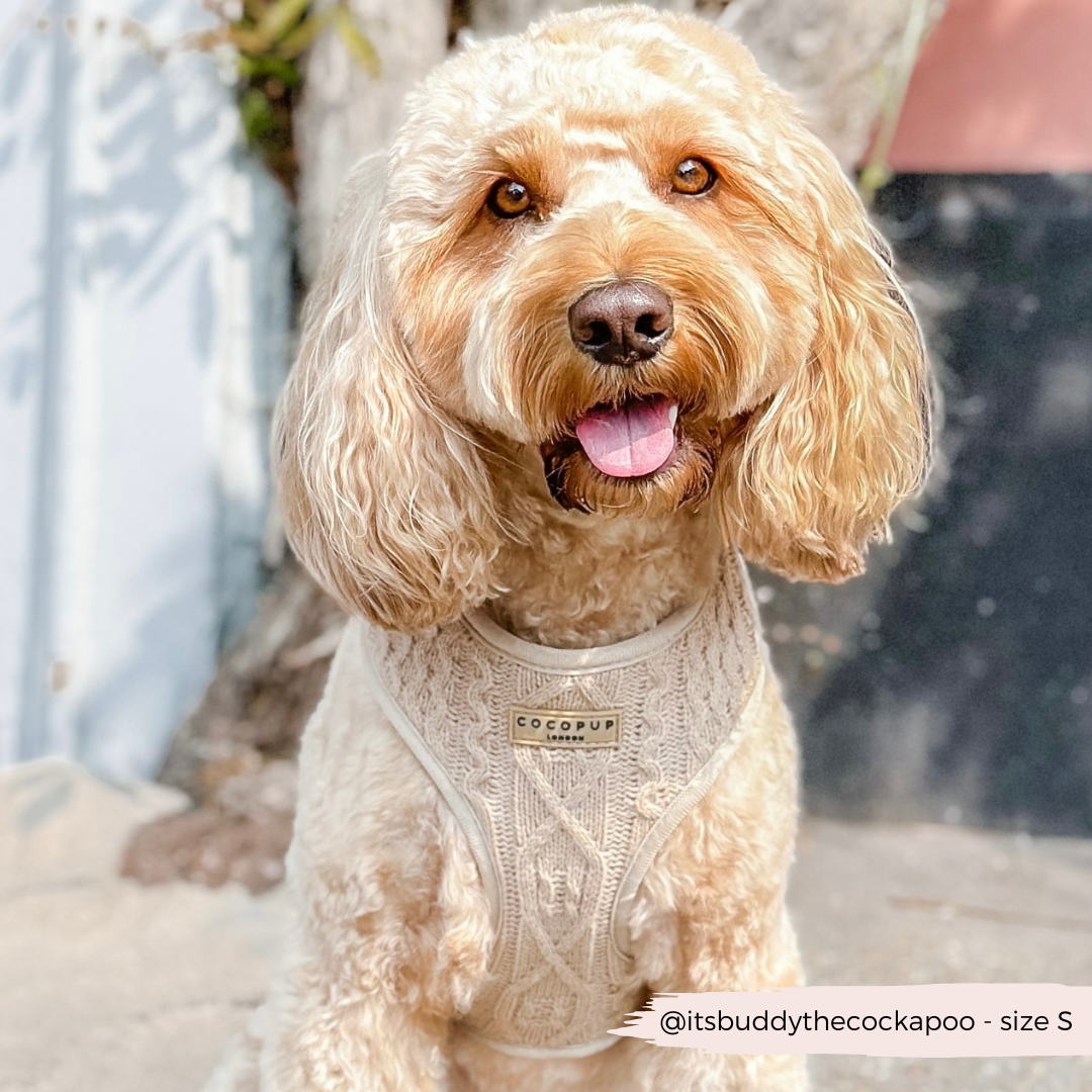 Cocopup London – wholesale Sele - Hund – Kabelstickad tröja Justerbar nacksele - Toffee Pup Latte5