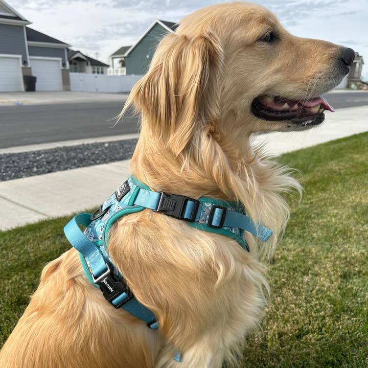 Wildside Dog Gear - Wholesale Pet Harness - Dog - Rainbow Adjustable Dog Harness with Handles For Large Dogs 4